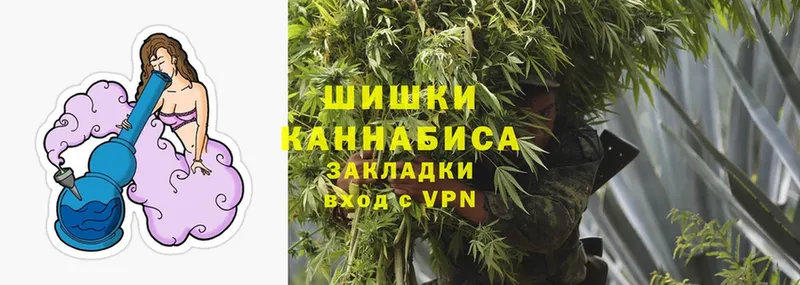 Бошки марихуана THC 21%  цена наркотик  Бежецк 